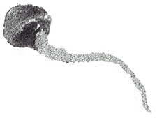 esperma.gif image by mIrRa_bOOmb